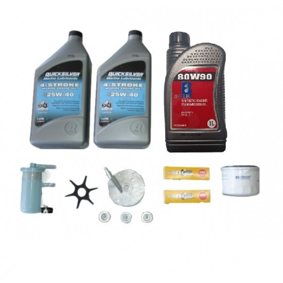 JOHNSON 25hp 4T SERVICE KIT V-Twin