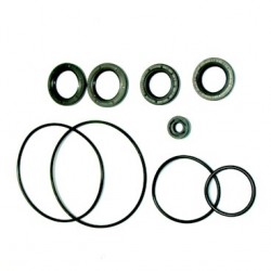 SUZUKI DF200-DF300 SEAL KIT