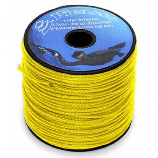 PICASSO DYNEEMA REEL LINE 1.7MM 380kg