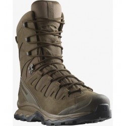 Παπούτσια Salomon Quest 4D Forces 2 High GTX EN Boots Earth Brown